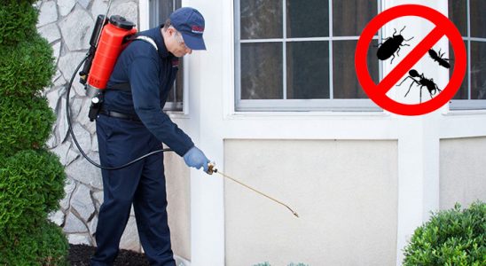 Zonguldak Haşere İlaçlama böcek ilaçlama ve haşere kontrolü — ilaclama-tr.com